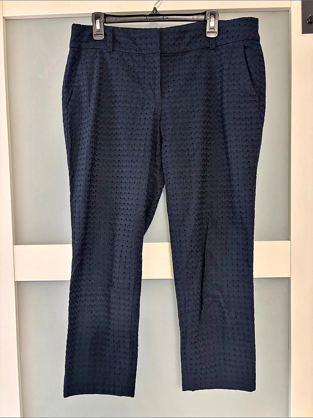 LOFT Marisa Ankle Eyelet Straight Leg Pants in Blue Size 12